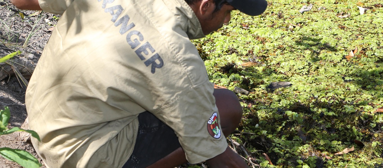 614acc1196b7a2995e3c17f712d082b428ab3851