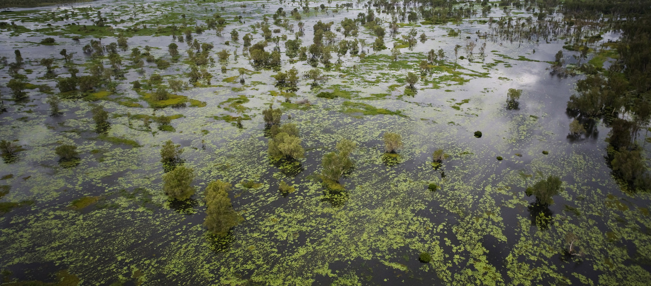 6bbbd1114274ab868bc36c46ce98eb6121e3d5c7