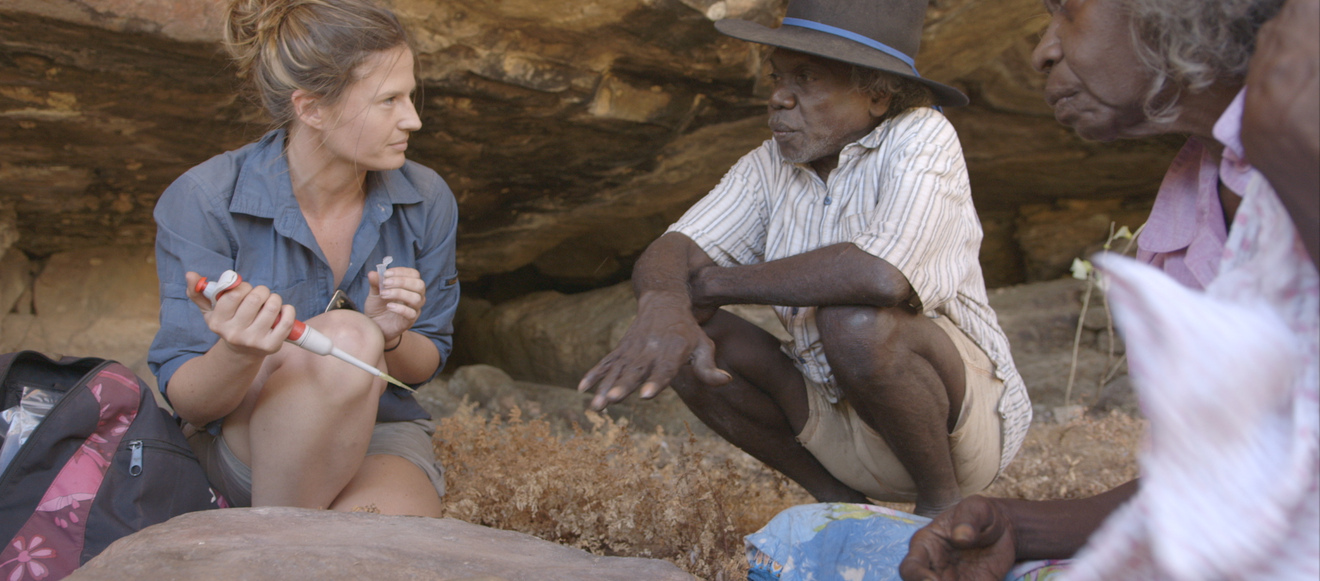 869429baf6e95e90ef94513696a64dc4ee059edf