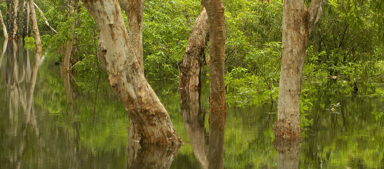 937e4016168fba645c8684af068194414565dbc9