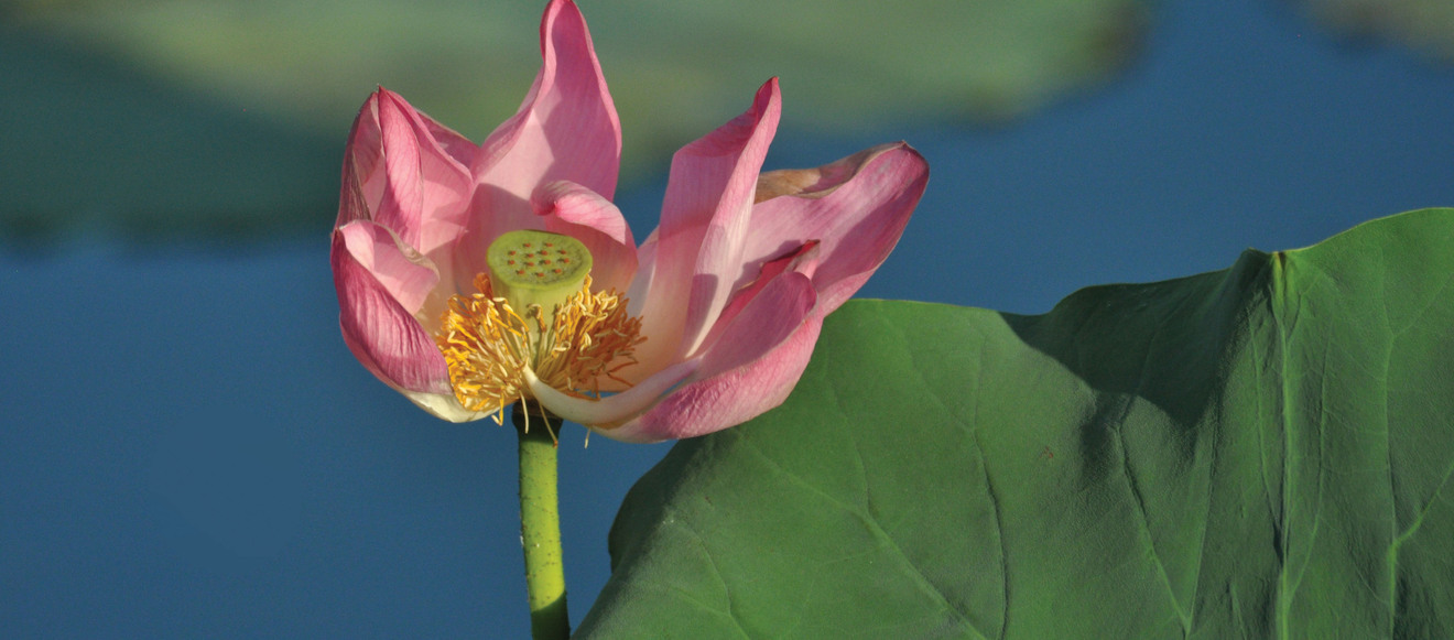 978c0854cf66175cdb6b928da12fe52b852d47ea