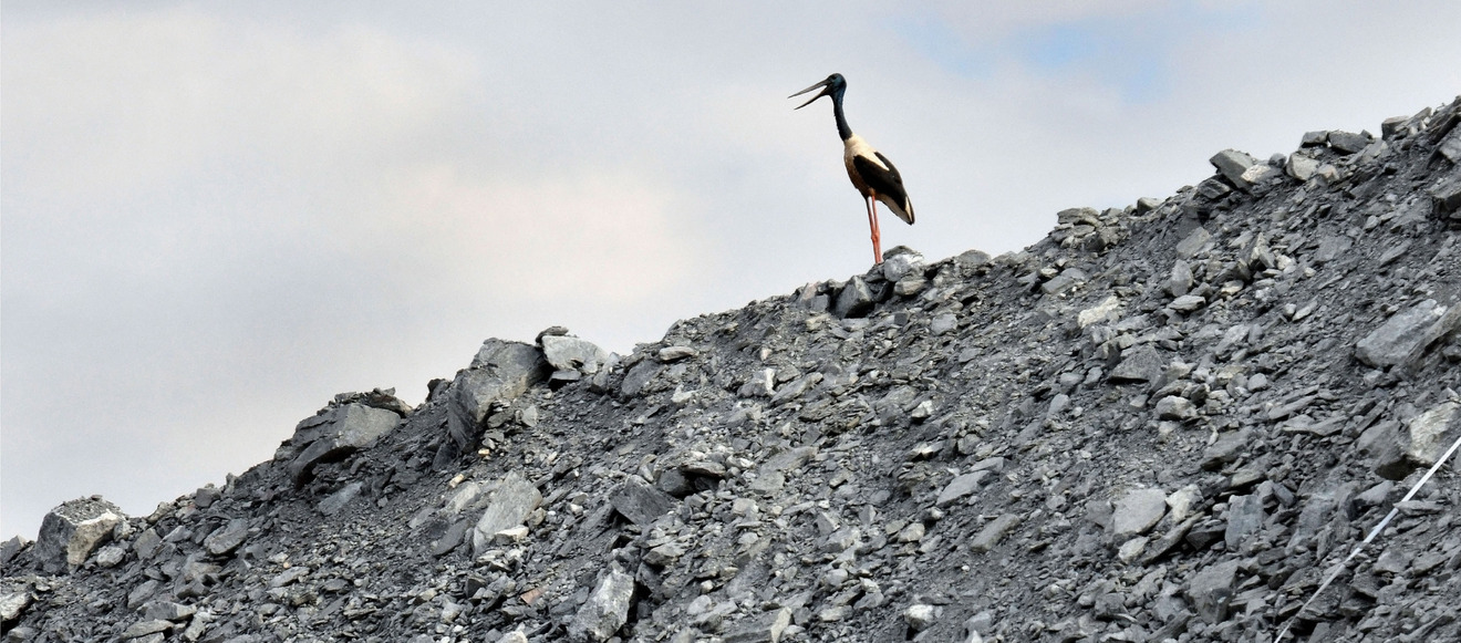 B538f65d59b0cb8c16311c4dacf2f9f1698dc604