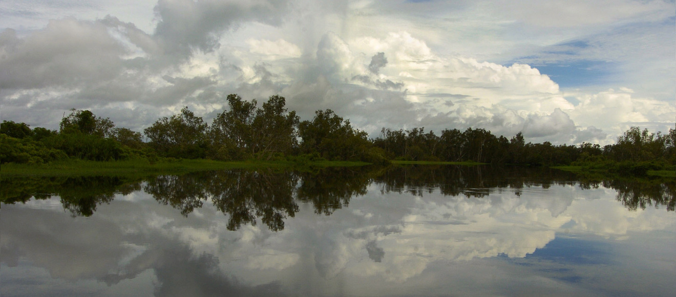 F0b41b82cd00f09aa8052a5ec63f471ed08a0ff5